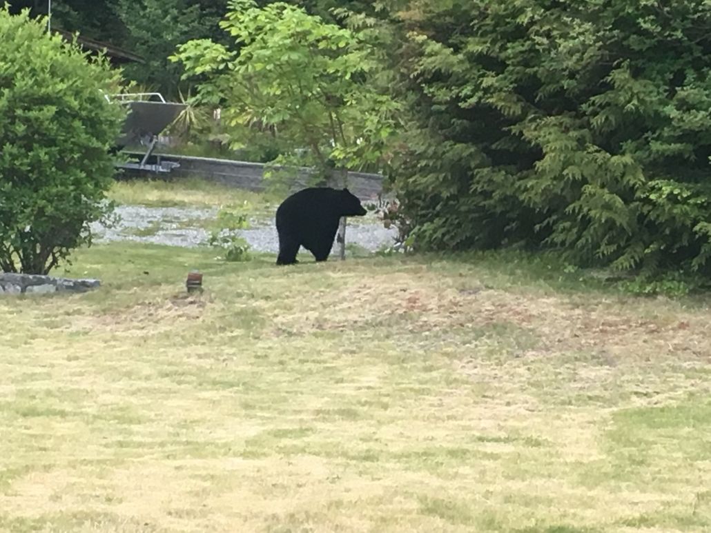 Eagle Nook Resort Ucluelet Eksteriør bilde
