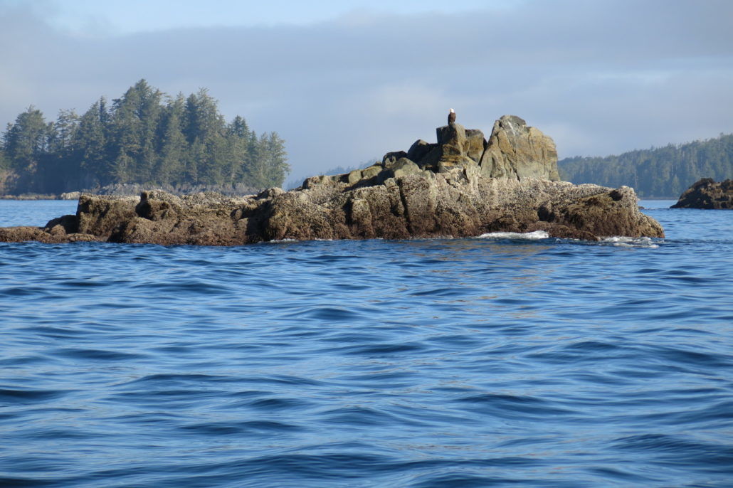 Eagle Nook Resort Ucluelet Eksteriør bilde